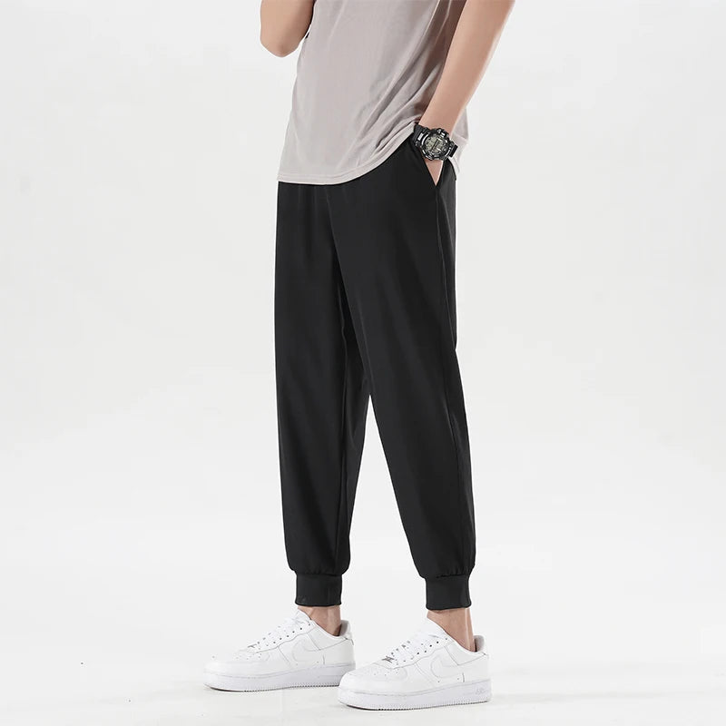 48540606791967|48540606824735|48540606857503|48540606890271|48540606923039|48540606955807|48540606988575|48540607021343|48540607054111|48540607086879